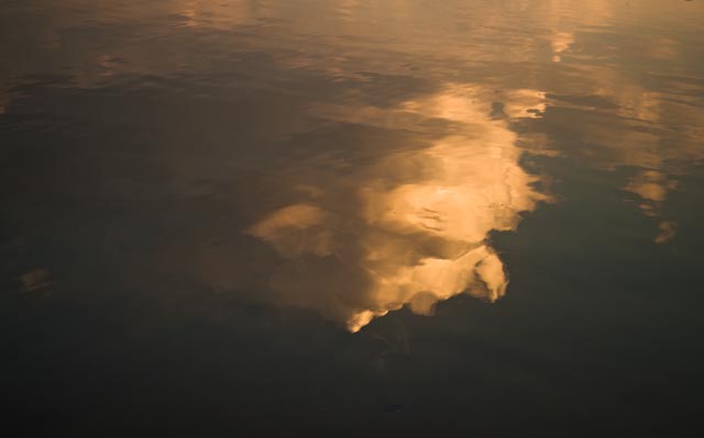 _MG_5380.jpg
