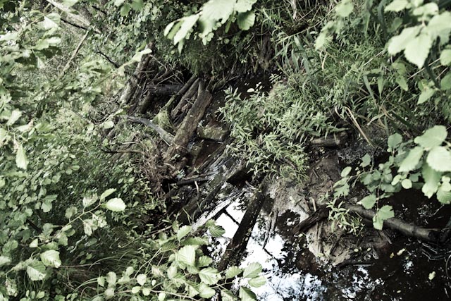 2011_08_07_2719.jpg