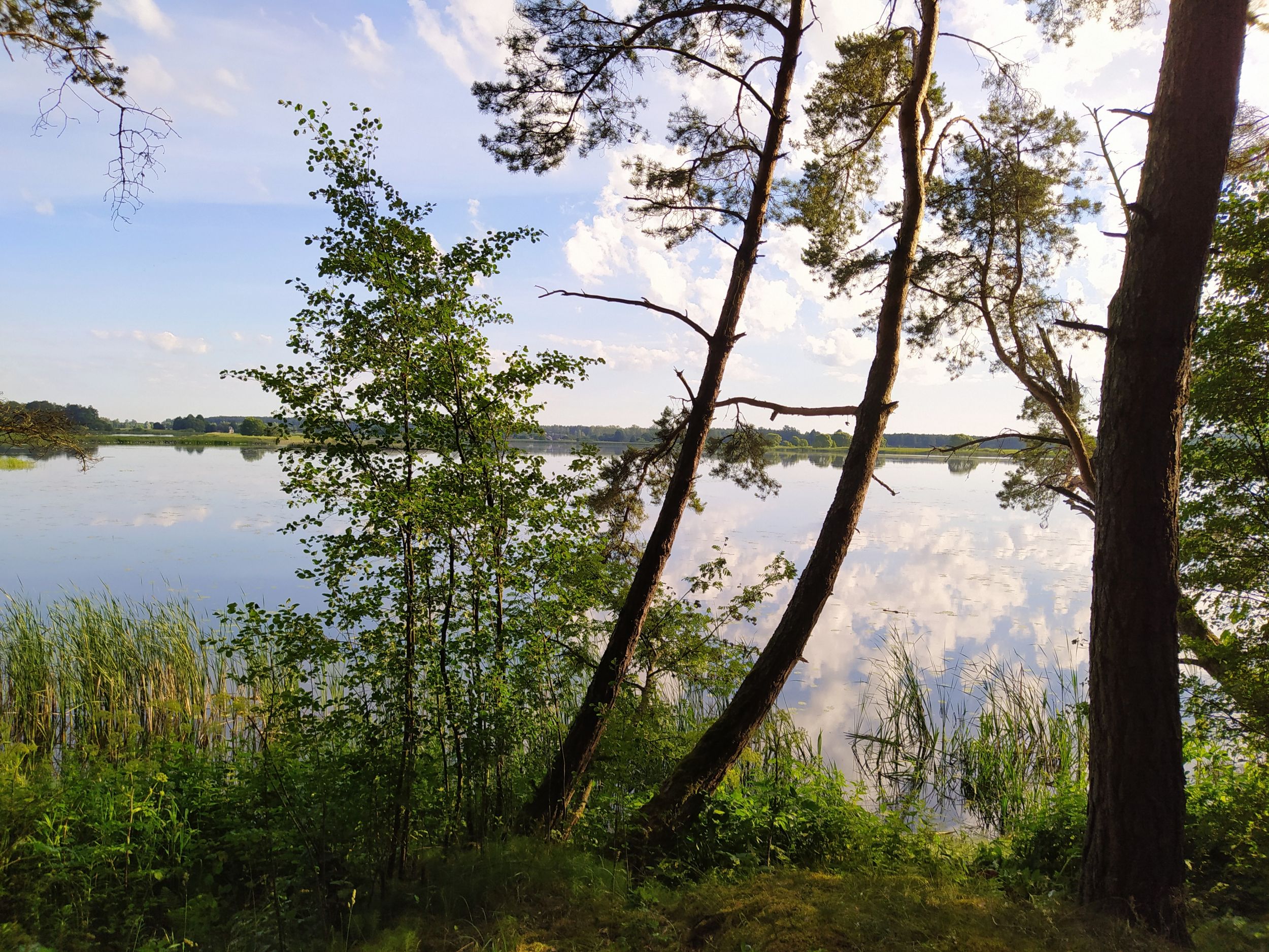 1. вдхр 1.jpg