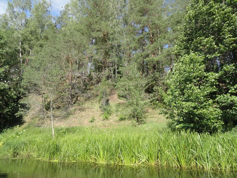 3. и мы тула лазили.JPG