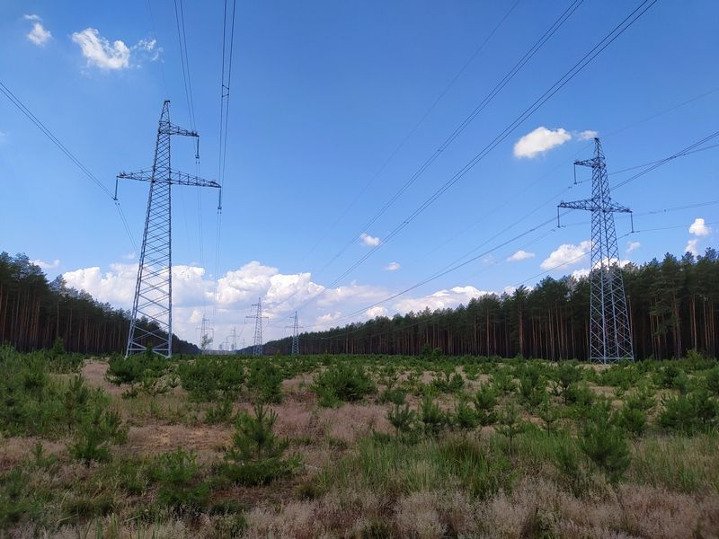 4. просека.jpg