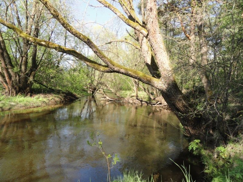 3. река.JPG