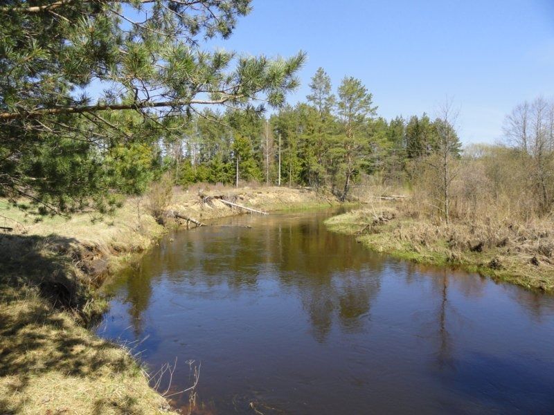 26. река.JPG
