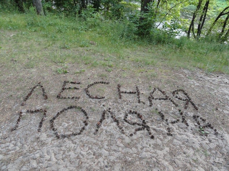 34._shishkonadpis'.JPG