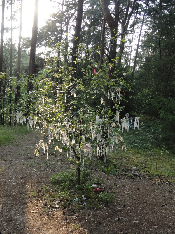 35._drevo_zhelaniy.JPG