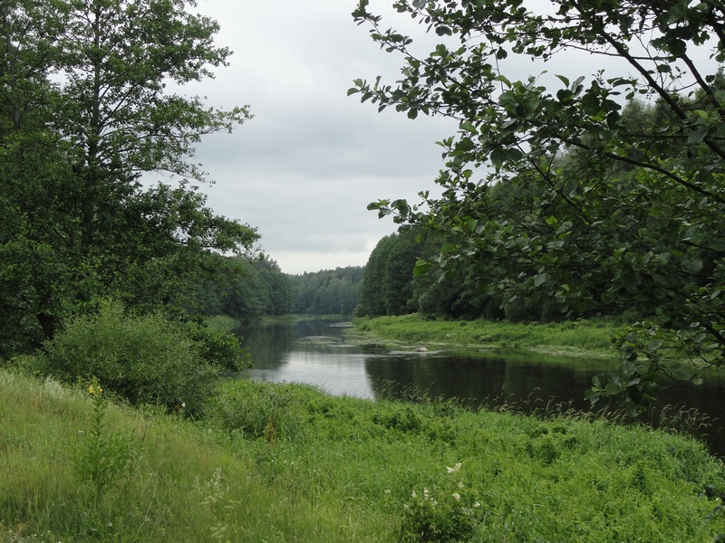 15._reka_u_rodnika.JPG