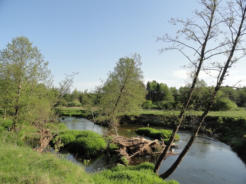 7._stoyanka_1_reka.JPG