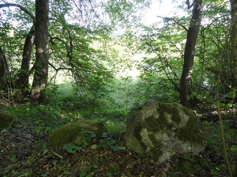 8._valuny_1.jpg