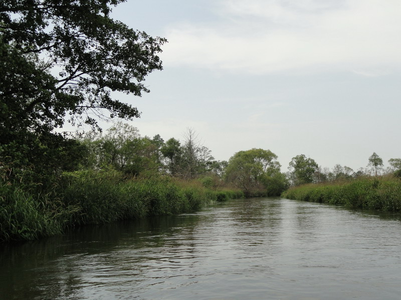 DSC01110.boloto.jpg