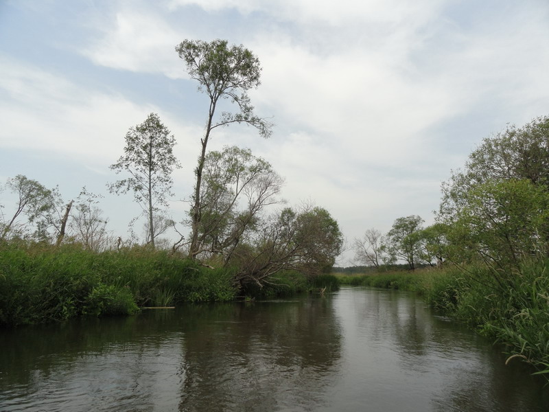 DSC01115.boloto_2.jpg