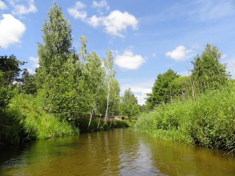 DSC07204.reka_6.JPG