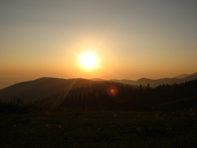 IMG_4103.JPG