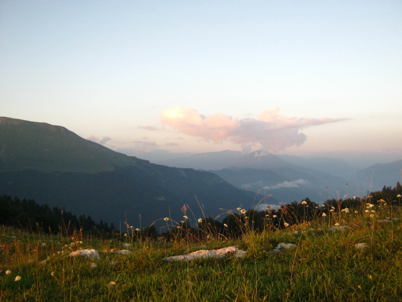 IMG_4116.JPG