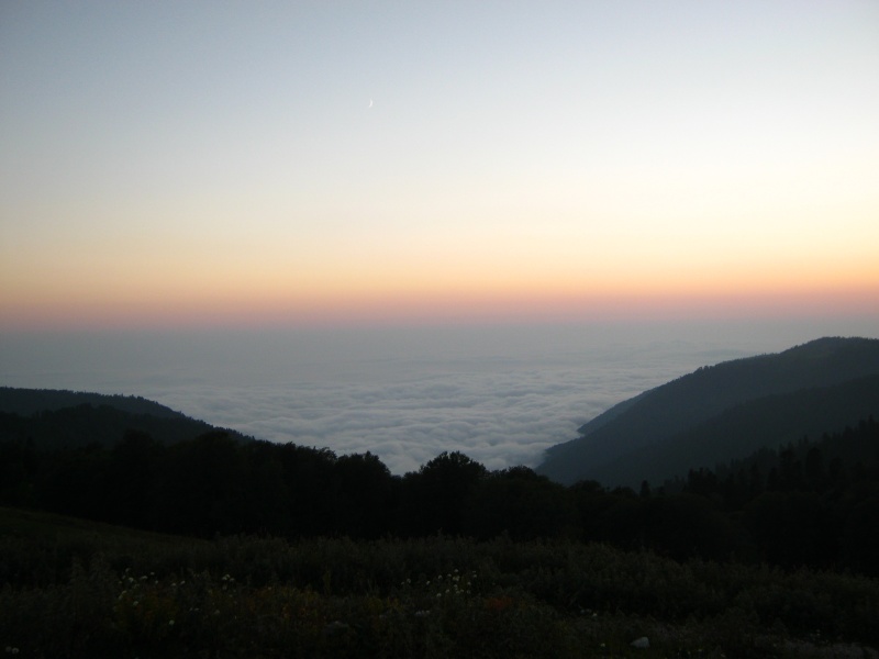 IMG_4147.JPG