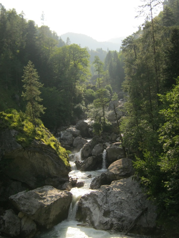 IMG_4592.JPG