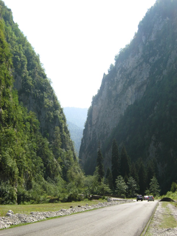 IMG_4715.JPG