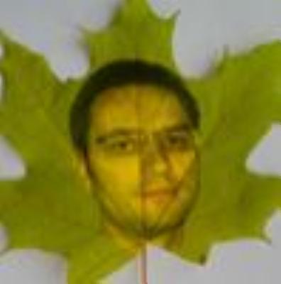 scharap