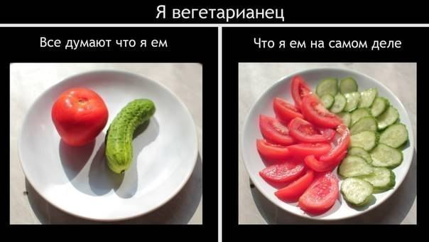 GTmiWohb0ek.jpg