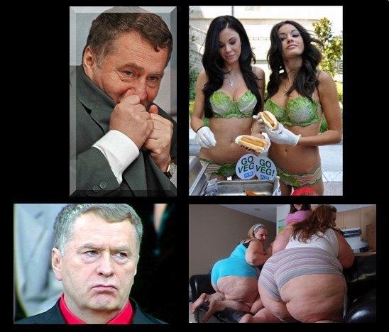 Q0QGycZSajc.jpg