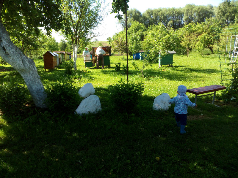paseka_v_vitebskoy_oblasti.jpg