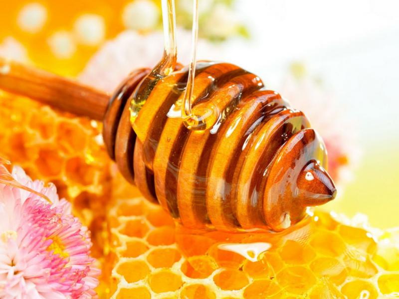 1311658100_food_cakes_and_sweet_floral_honey_020448_.jpg