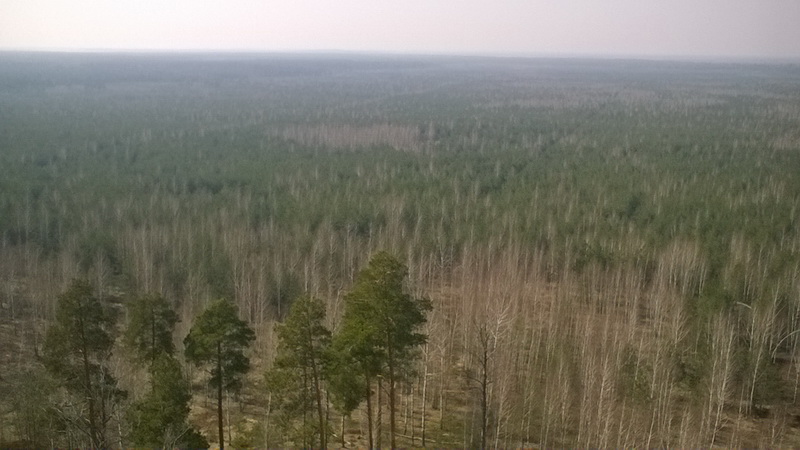 20170402_13_25_40.jpg