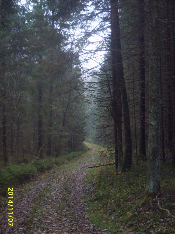 S5000018.jpg