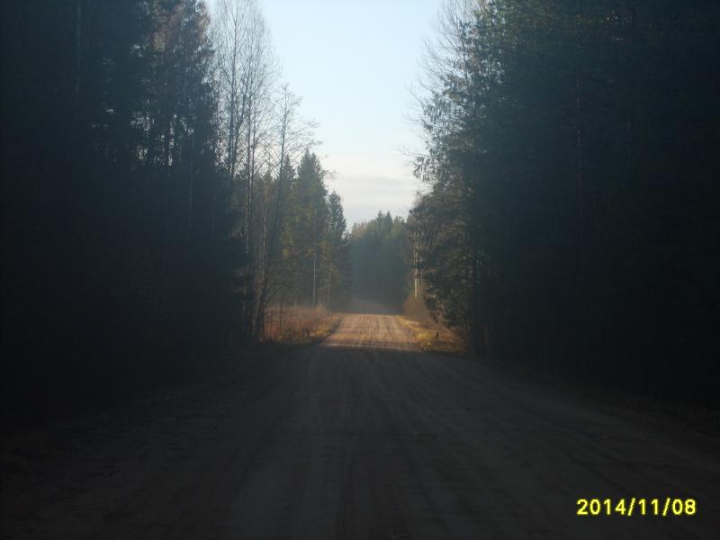 S5000040.jpg