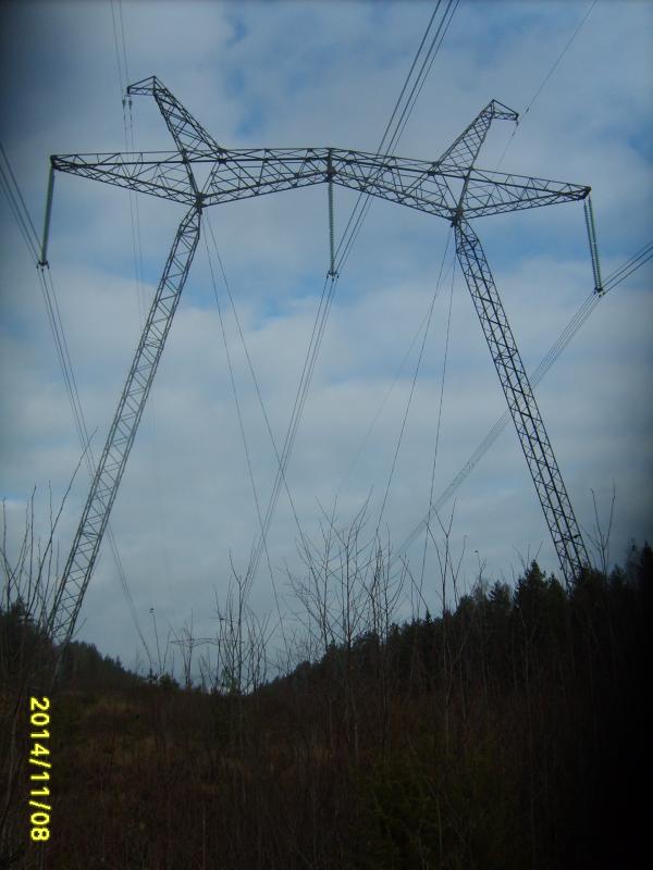 S5000058.jpg