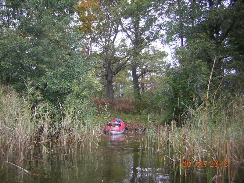 DSCN4277.jpg