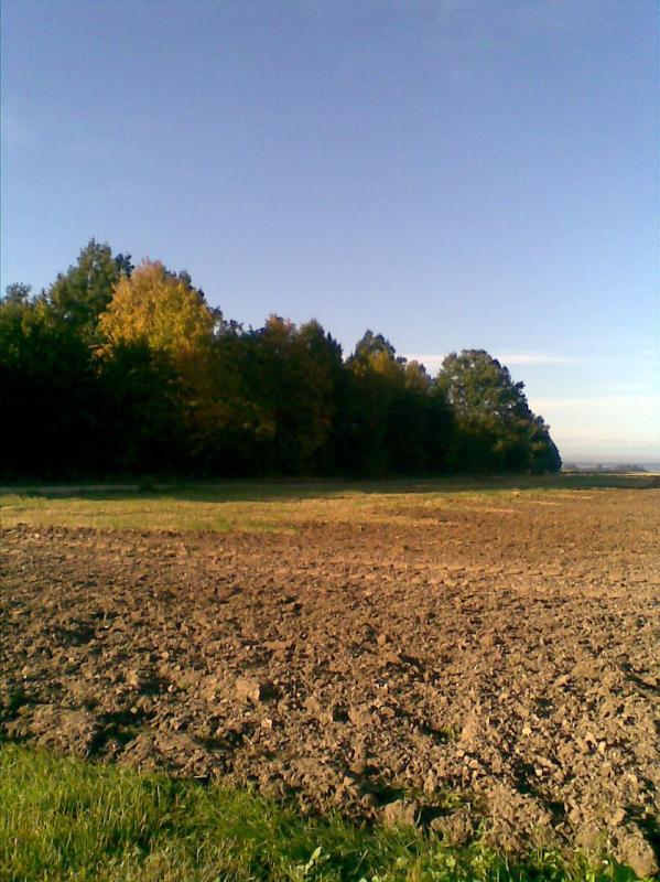 Foto043_1.jpg