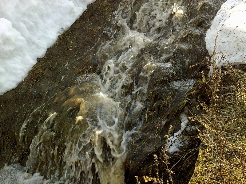Img277_2.jpg