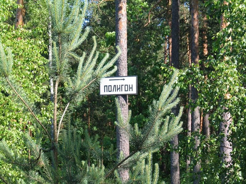 Izobrazhenie_106_222.jpg