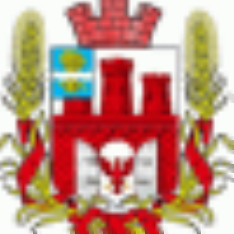 Vovik_Elnet