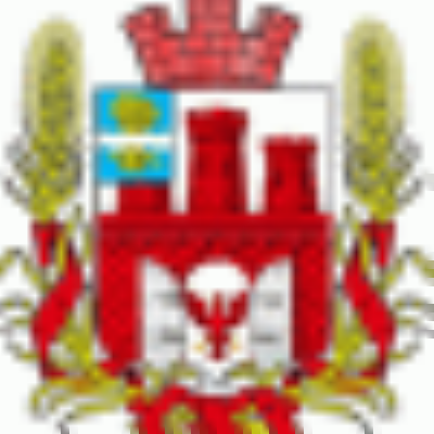 Vovik_Elnet