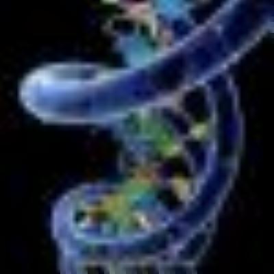 DNA