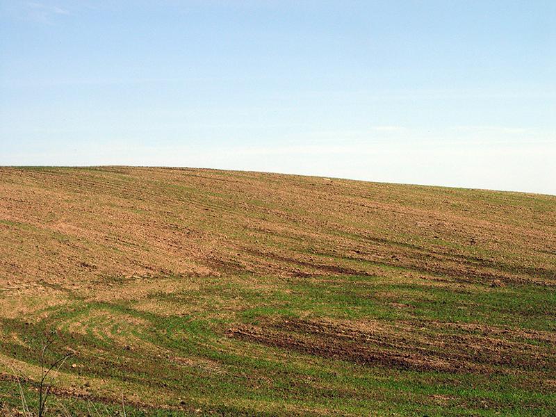 Drysa-Dzisna18.jpg