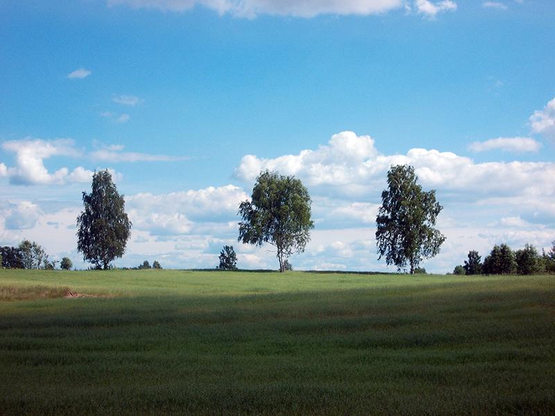 Evropa31.jpg