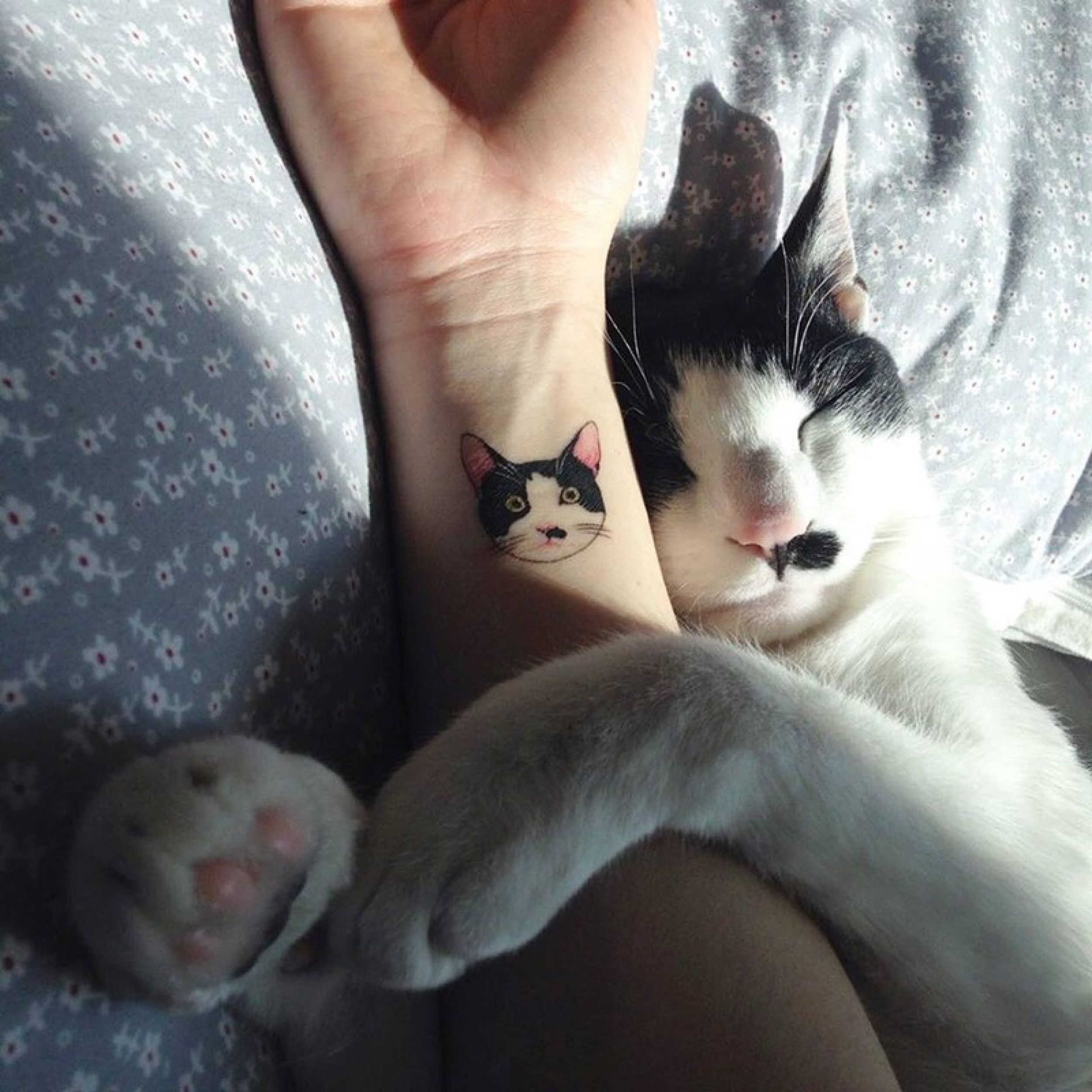 minimalcattattoos01.jpg