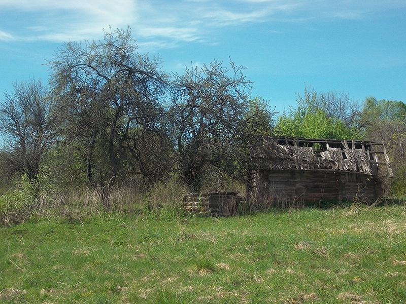 Pamezhzha72.jpg