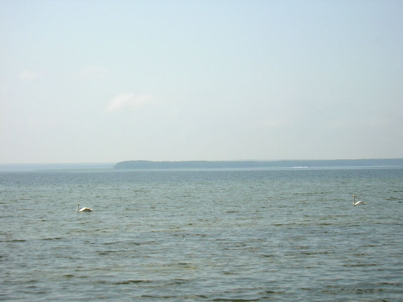 Naroch'48.jpg