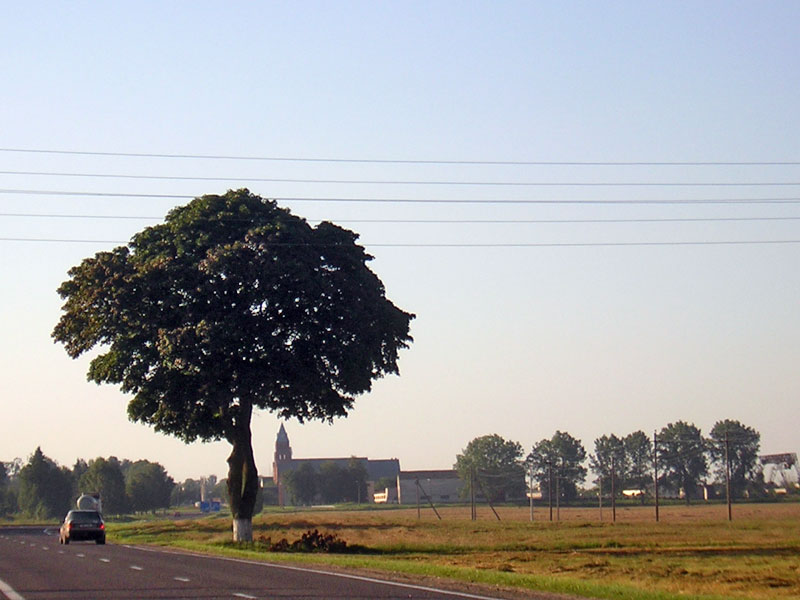 Pushcha31.jpg