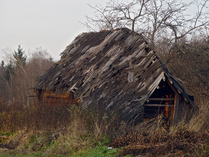 Obal'13.jpg