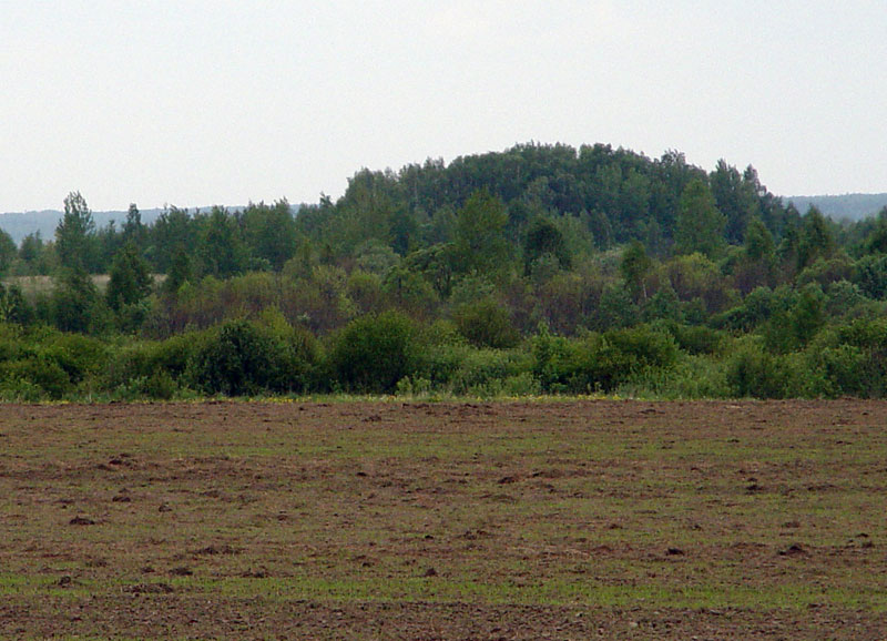 Buddavest'-Vyaliki10.jpg