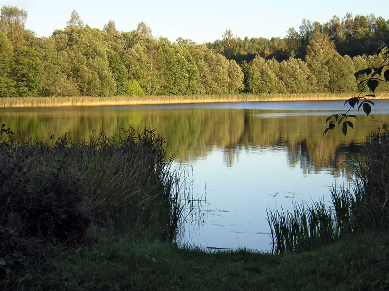 Matseykava08.jpg