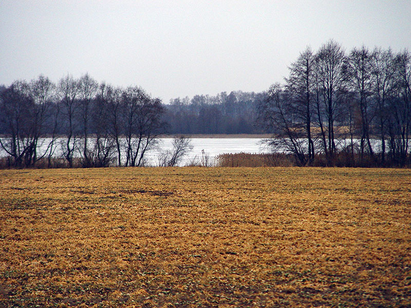 Cherapitskae37.jpg