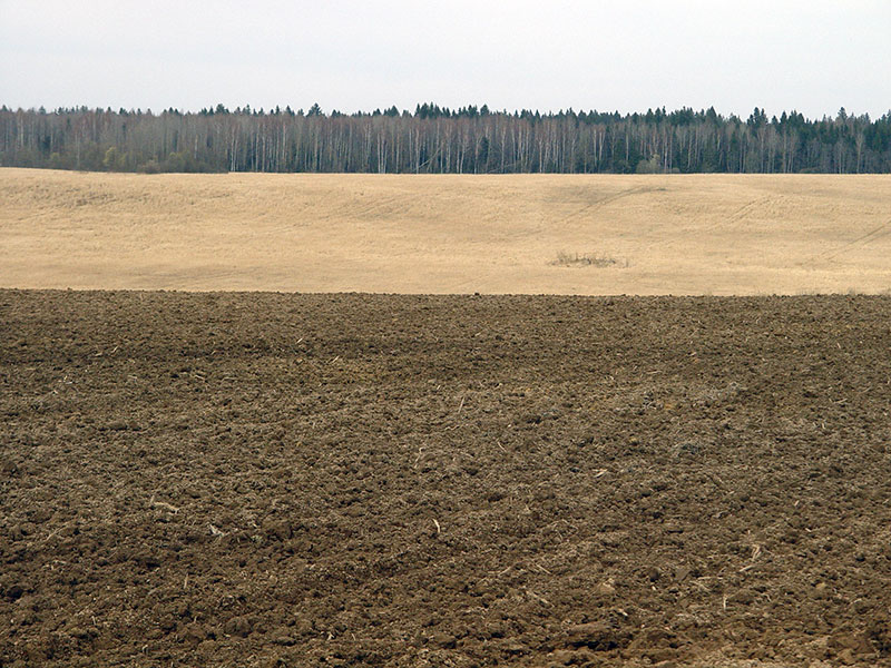 Benislavskogo17.jpg