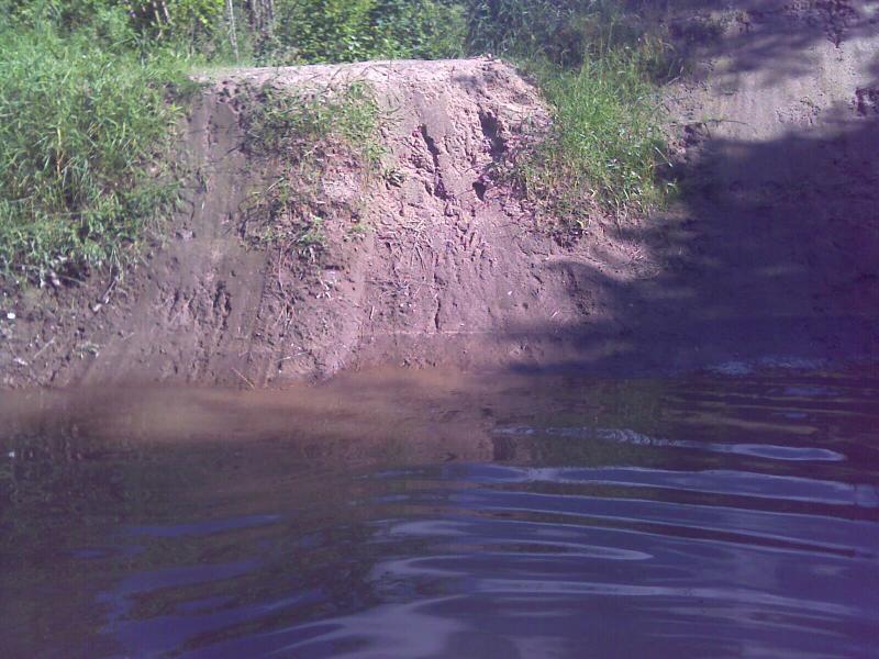 IMAG0001_2.jpg