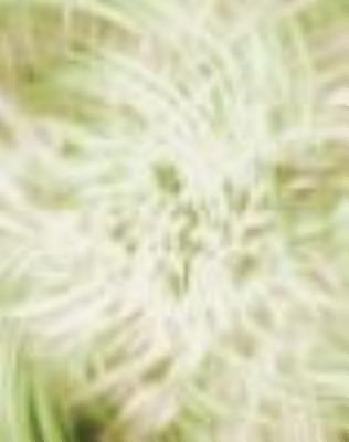 dim3