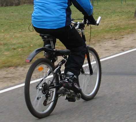 vellerroller.jpg